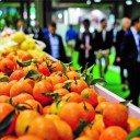 A Fruit Attraction LIVEConnect mantém ativa e aberta a maior comunidade e rede social profissional do mundo especializada no setor hortofrutícola